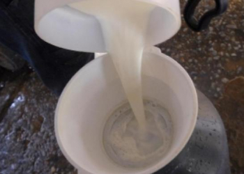 Estudante de 16 anos desenvolve projeto para ajudar quem tem intolerância à lactose