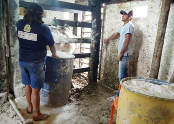 Vaquejada de Serrinha indeniza trabalhadores em condição de escravidão