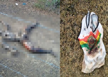 Coité – Corpo em estado de decomposição é encontrado em fazenda