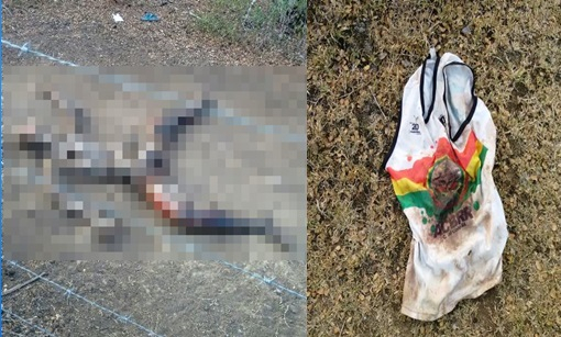 Coité – Corpo em estado de decomposição é encontrado em fazenda