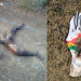 Coité – Corpo em estado de decomposição é encontrado em fazenda