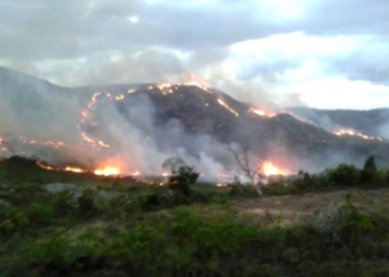Incêndio atinge local próximo a APA na Chapada Diamantina