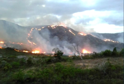 Incêndio atinge local próximo a APA na Chapada Diamantina