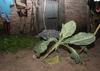 Desconhecido invade casa e mata jovem com vários tiros