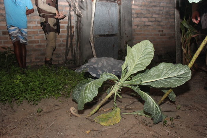 Desconhecido invade casa e mata jovem com vários tiros