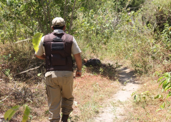 Jovem é executado com vários tiros em local supostamente usado para uso de droga; diz Polícia