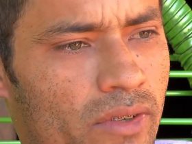 Trabalhador disse que levou susto a ver que rim tinha sido retirado