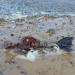 Corpo de ‘sereia’ encontrado em praia na Inglaterra intriga internautas