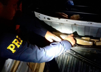 Polícia para carros na estrada e acha 115kg de maconha levada da BA a PE
