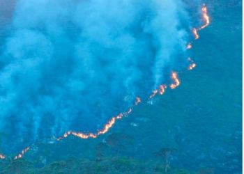 Incêndio de grandes proporções atinge área de mata em Jacobina