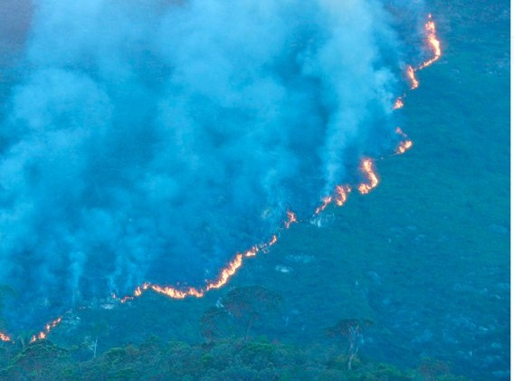 Incêndio de grandes proporções atinge área de mata em Jacobina