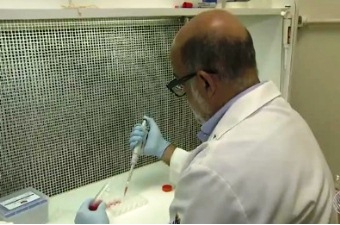 Vírus misterioso em Salvador causa dor muscular e deixa urina preta