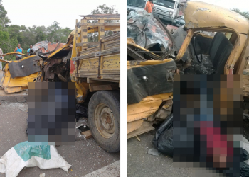 Motorista morre após colisão com caminhão cegonha na BR-116