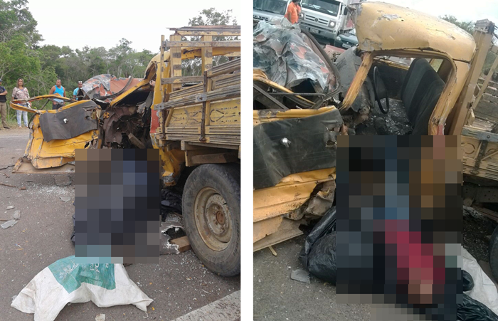 Motorista morre após colisão com caminhão cegonha na BR-116