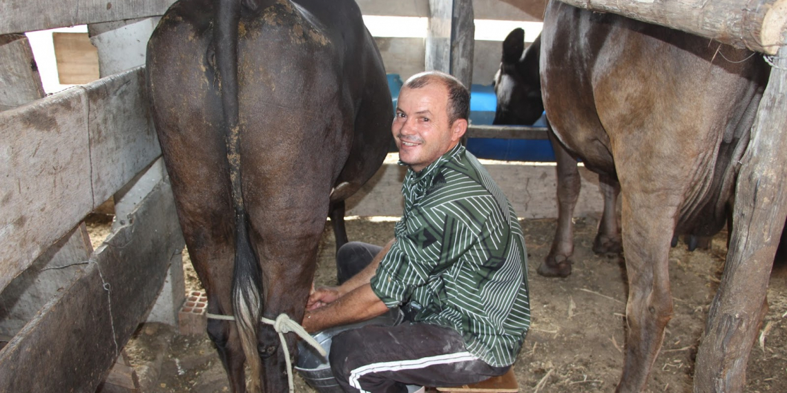 Mesmo na seca, agricultor de Pé de Serra passa de 130 para 250 litros de leite por dia