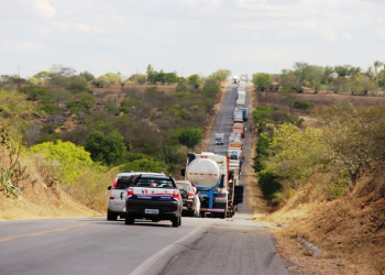 Teofilândia – Funcionários do Banco do Nordeste morrem em colisão envolvendo Civic e carreta na BR 116 (Veja o vídeo)
