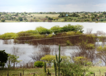 Açude do Dnocs em Itiúba garante abastecimento emergencial para Santaluz e Queimadas