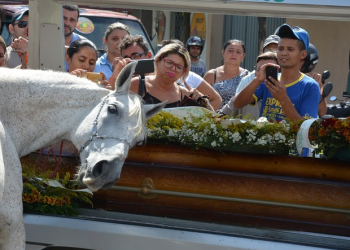 PB – Cavalo comove família de vaqueiro morto ao ‘se despedir’ do dono