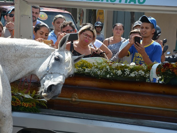 PB – Cavalo comove família de vaqueiro morto ao ‘se despedir’ do dono
