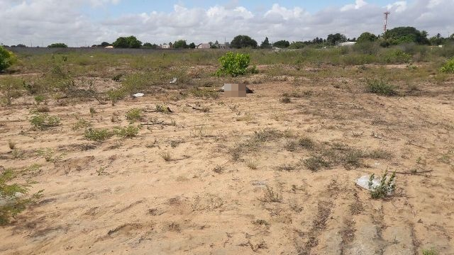 Corpo é encontrado com cabeça esfacelada em Feira de Santana