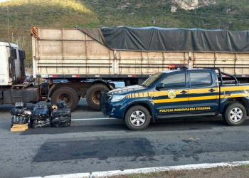 Pai e filho são flagrados com quase meia tonelada de maconha na Bahia