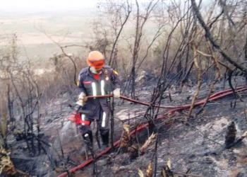 Fogo destrói vegetação na Serra do Voo Livre em Santa Terezinha