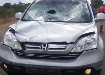 Carro com placa de Coité atropela e mata pedestre na BA 233