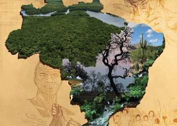 Campanha da Fraternidade 2017 traz realidade dos biomas brasileiros