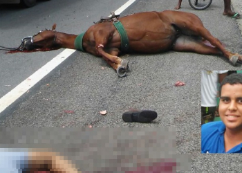 Tanquinho – Homem e cavalo morrem atropelados na BR 324