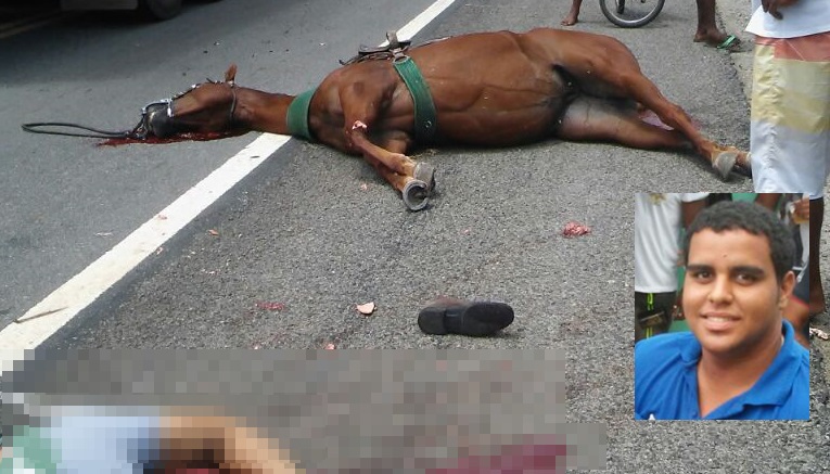 Tanquinho – Homem e cavalo morrem atropelados na BR 324