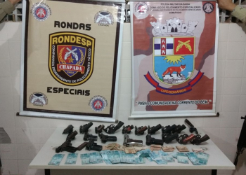 Região de Irecê: apreendidas 22 armas de fogo em Lapão