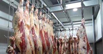 UE e 14 países suspendem temporariamente importação de carne brasileira