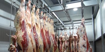 UE e 14 países suspendem temporariamente importação de carne brasileira
