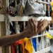 OEA exige que Brasil encaminhe soluções para a crise carcerária até 31 de março