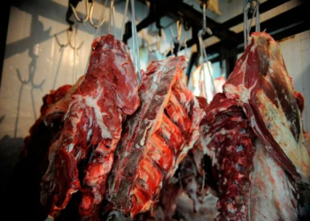 China reabrirá importação de carne brasileira a partir de segunda-feira (27)