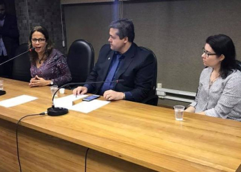 Comissão da Saúde da AL-BA debate atuação de combate da Febre Amarela na Bahia   