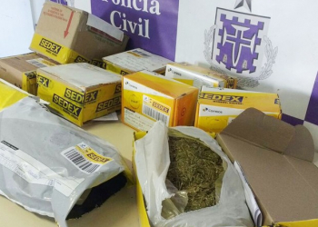 Maconha que estava sendo enviada pelos Correios remetida em Irecê, é apreendida em Salvador