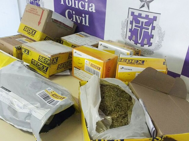 Maconha que estava sendo enviada pelos Correios remetida em Irecê, é apreendida em Salvador