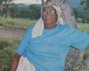 Idoso de 98 anos mata esposa de 100 a machadadas e comete suicídio