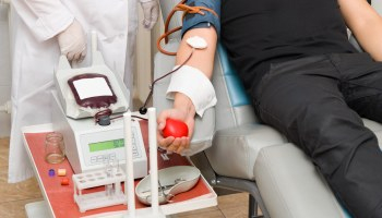 Governo tem novos critérios para doação de sangue devido à febre amarela