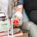 Governo tem novos critérios para doação de sangue devido à febre amarela
