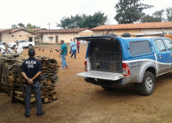 Polícia Civil de Feira incinera mais de 30kg de drogas em cerâmica na BR-324