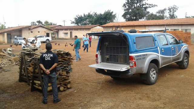 Polícia Civil de Feira incinera mais de 30kg de drogas em cerâmica na BR-324