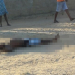 Água Fria – Durante abordagem guarda municipal atira e atinge três homens e um morre na hora