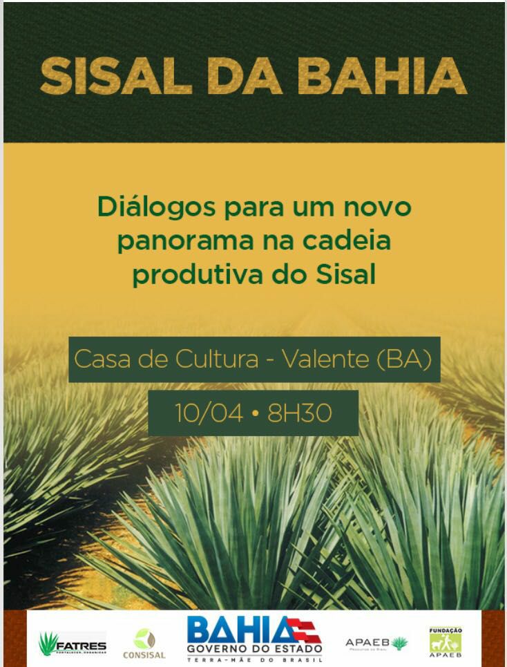Evento debate panorama e perspectivas da Cadeia Produtiva do Sisal da Bahia   