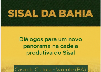 Evento debate panorama e perspectivas da Cadeia Produtiva do Sisal da Bahia   