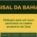 Evento debate panorama e perspectivas da Cadeia Produtiva do Sisal da Bahia   