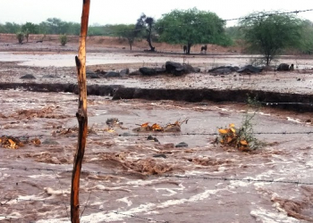 Municípios da Bacia do Jacuípe comemoram chegada de forte chuva