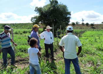 Governo do Estado implanta cinco novas Unidades de Referência de Produção de Leite