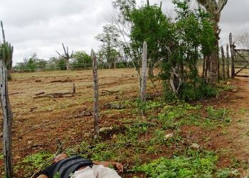 Mais um corpo encontrado na Fazenda Cabaças em Gavião